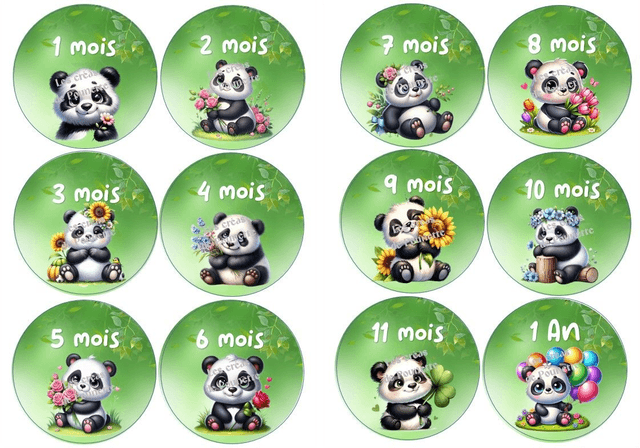 Lot de 12 cartes étape bébé