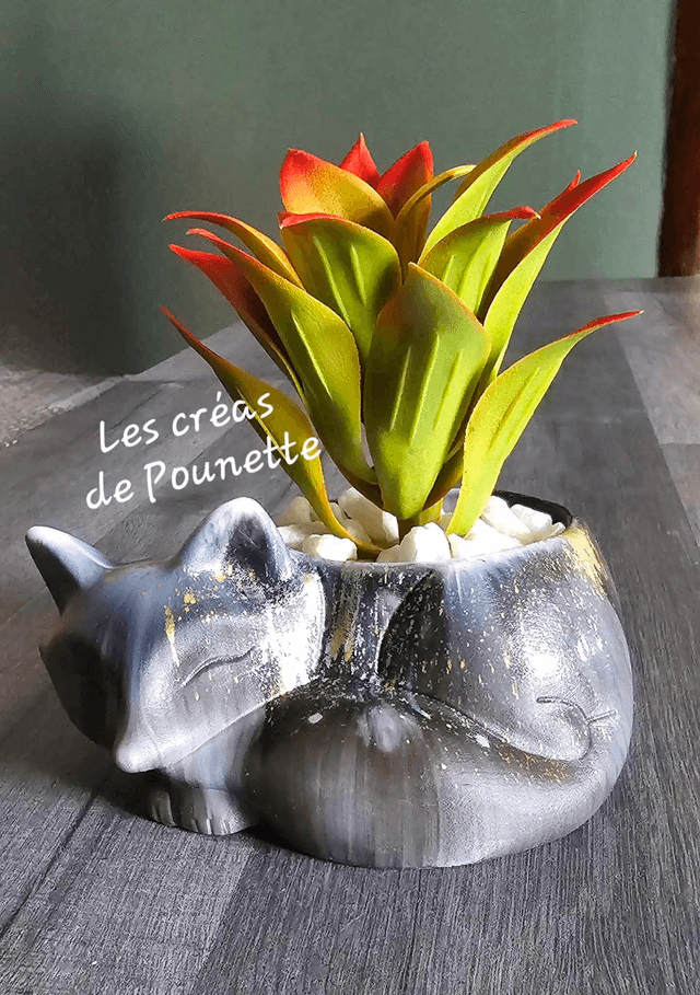 Petits pots renards et cochon d'inde pour succulentes