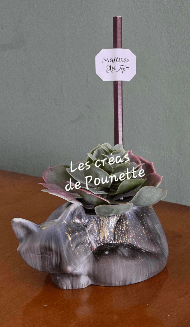 Pots animal décorés avec crayon - partie 1