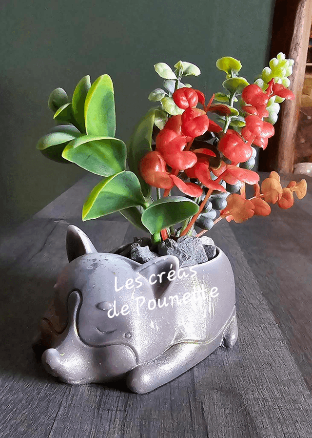 Petits pots chats et chiens pour succulentes