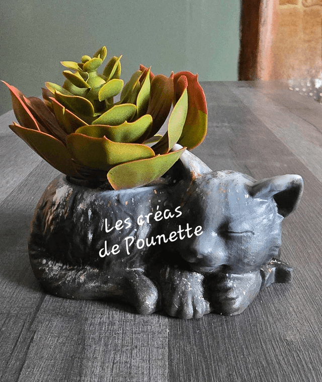 Petits pots chats et chiens pour succulentes