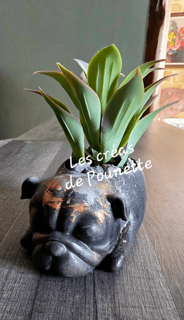 Petits pots chats et chiens pour succulentes