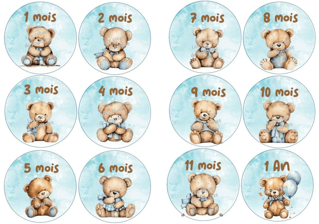 Lot de 12 cartes étape bébé