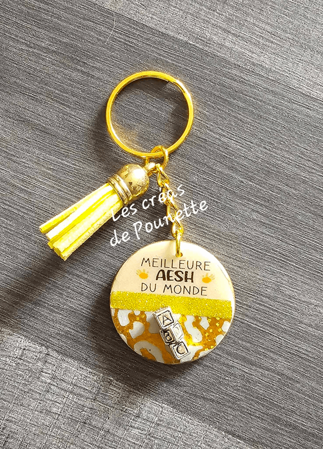 Porte clés maîtresse et AEHS en bois et résine
