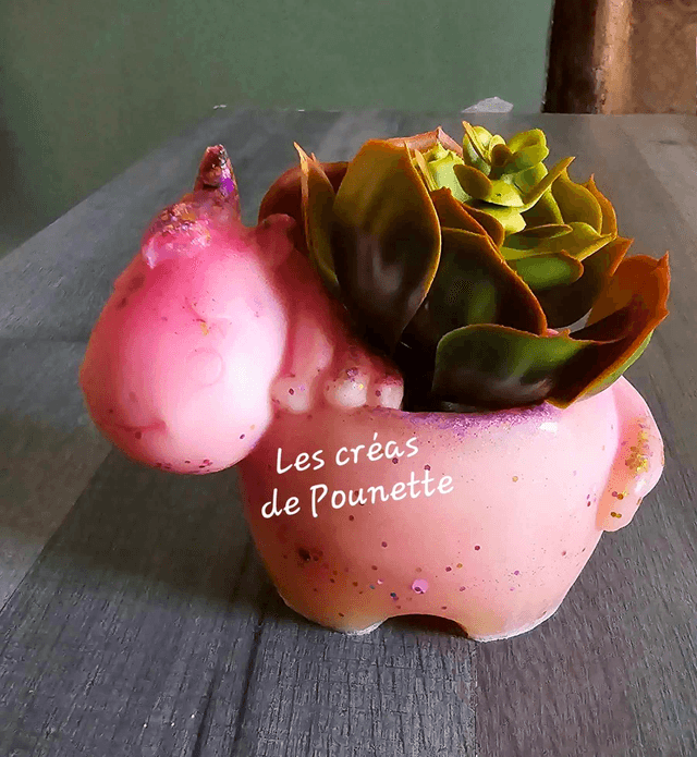 Petits pots licornes pour succulente