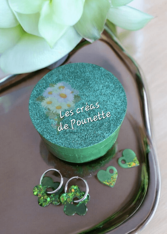 Boite à bijoux + créoles et pampilles