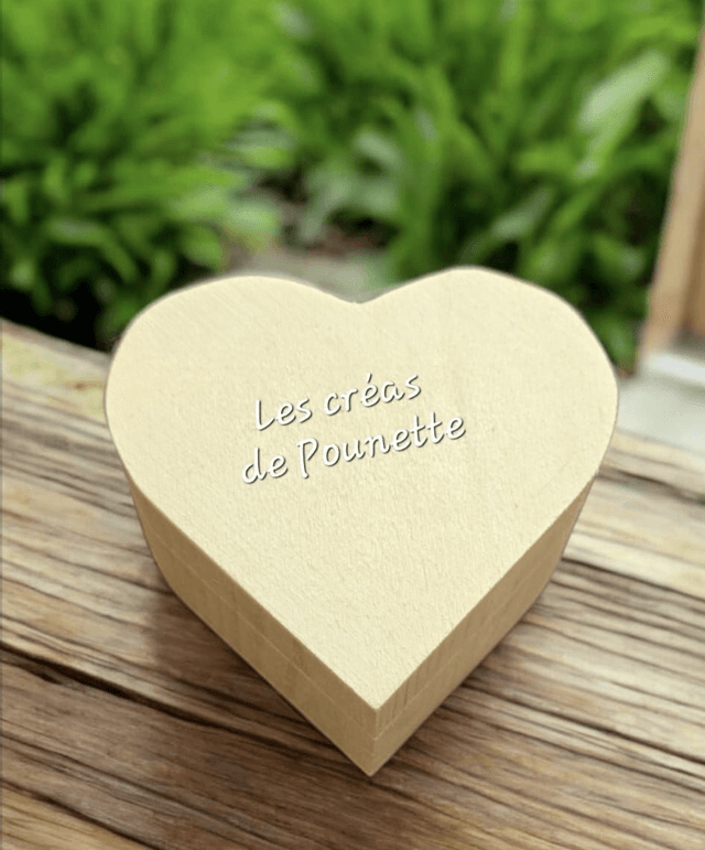 Boite à bijoux + créoles et pampilles