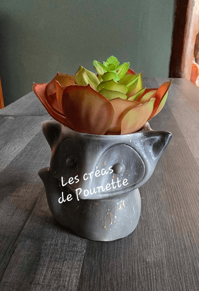 Petits pots renards et cochon d&#039;inde pour succulentes